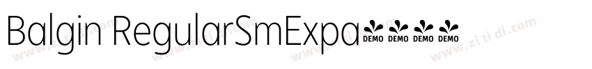 Balgin RegularSmExpa字体转换